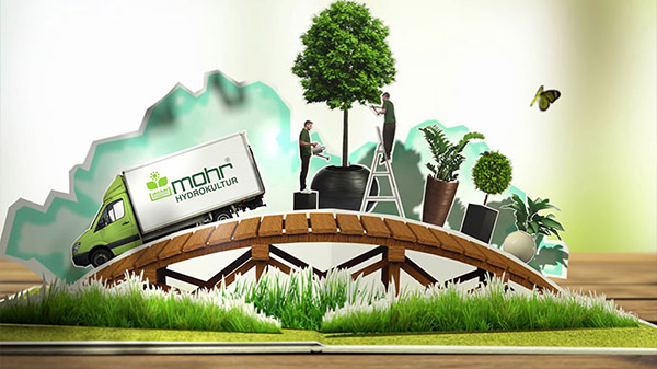 Pop-Up Book Animation